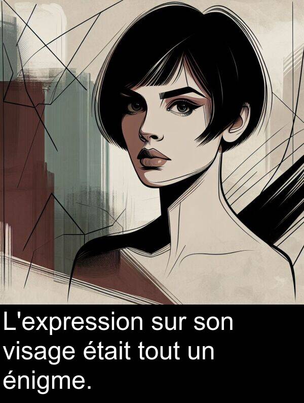 sur: L'expression sur son visage était tout un énigme.