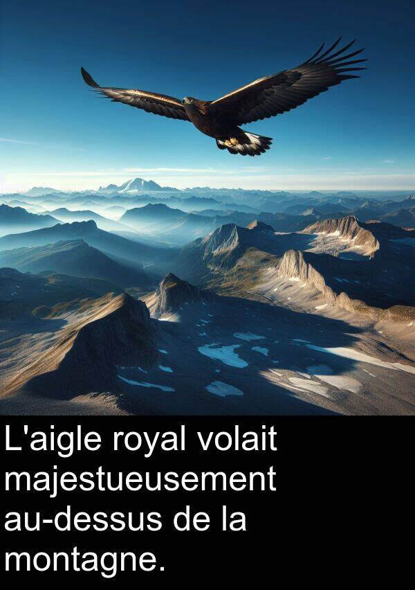 majestueusement: L'aigle royal volait majestueusement au-dessus de la montagne.