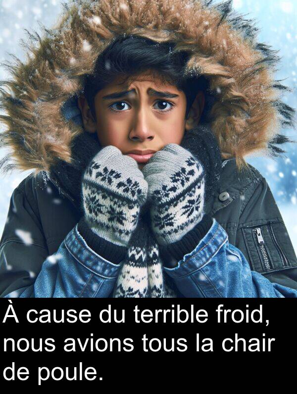 nous: À cause du terrible froid, nous avions tous la chair de poule.