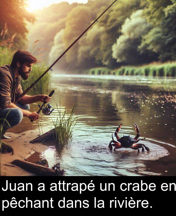 attrapé: Juan a attrapé un crabe en pêchant dans la rivière.