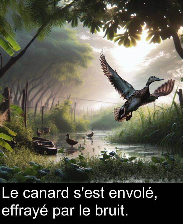effrayé: Le canard s'est envolé, effrayé par le bruit.
