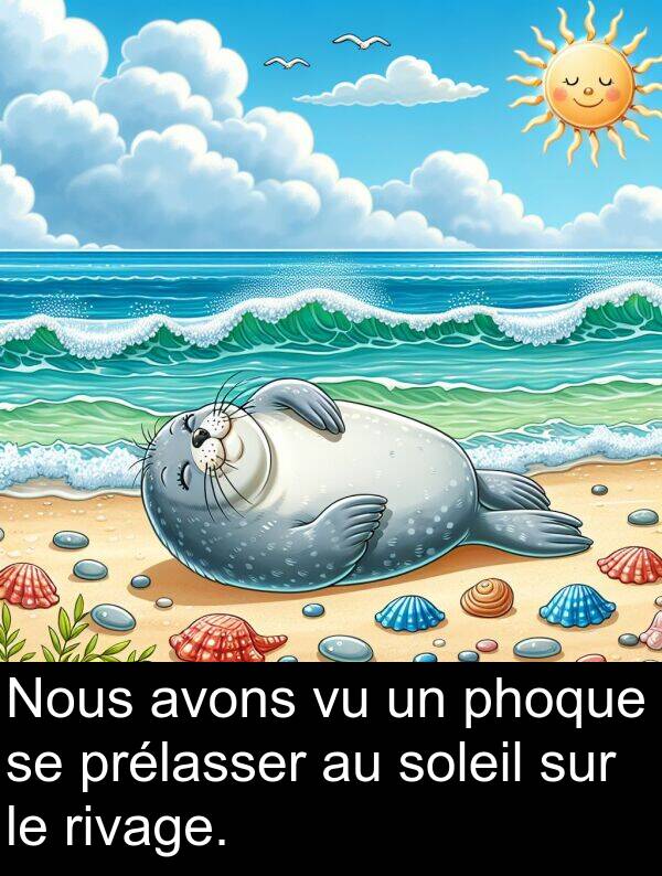 soleil: Nous avons vu un phoque se prélasser au soleil sur le rivage.