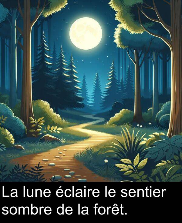 lune: La lune éclaire le sentier sombre de la forêt.