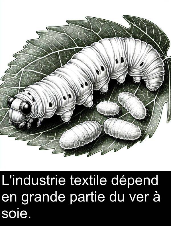 ver: L'industrie textile dépend en grande partie du ver à soie.