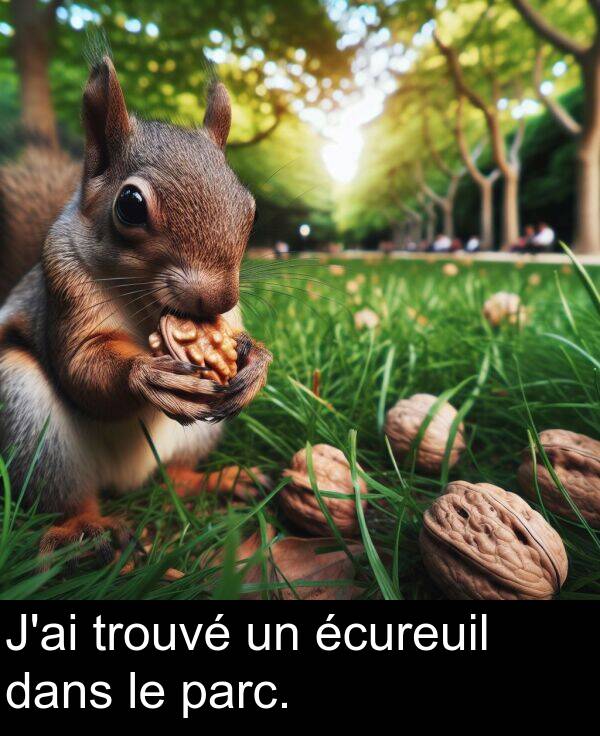 dans: J'ai trouvé un écureuil dans le parc.