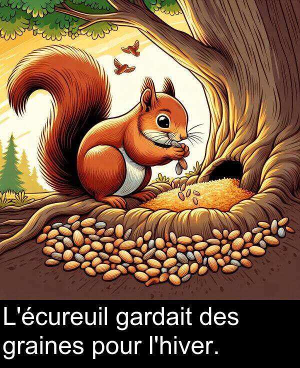 graines: L'écureuil gardait des graines pour l'hiver.