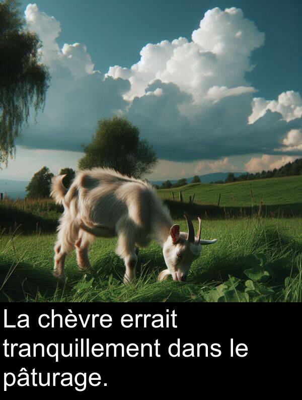 errait: La chèvre errait tranquillement dans le pâturage.