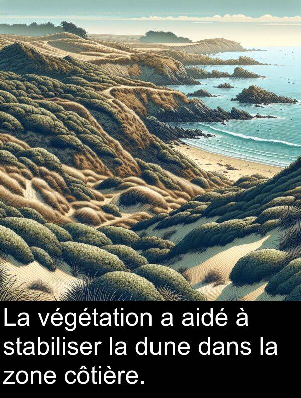 aidé: La végétation a aidé à stabiliser la dune dans la zone côtière.