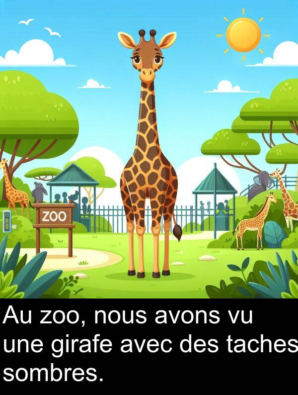 taches: Au zoo, nous avons vu une girafe avec des taches sombres.