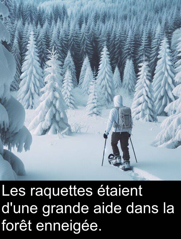 raquettes: Les raquettes étaient d'une grande aide dans la forêt enneigée.