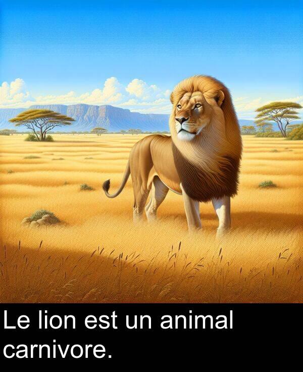 carnivore: Le lion est un animal carnivore.