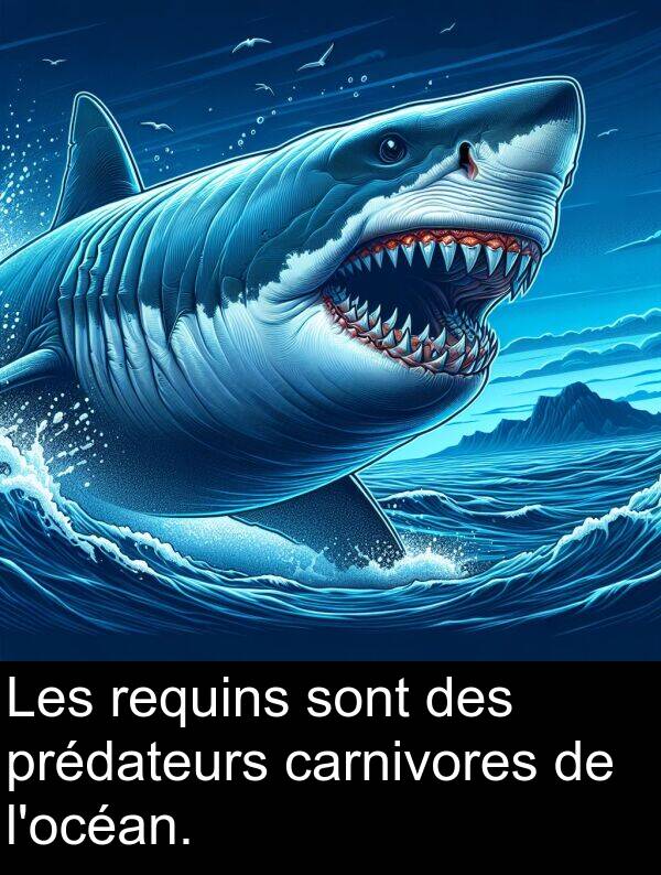 sont: Les requins sont des prédateurs carnivores de l'océan.