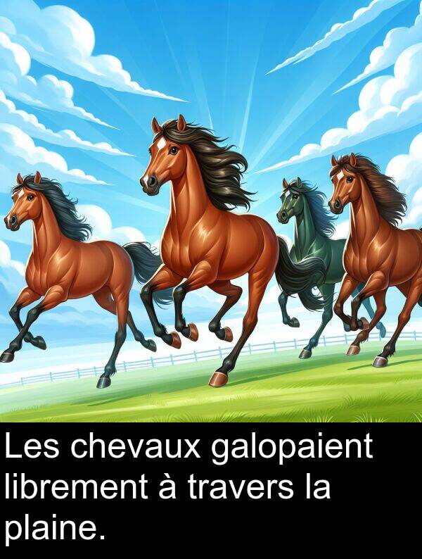 galopaient: Les chevaux galopaient librement à travers la plaine.