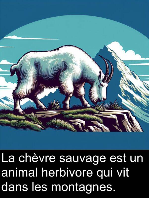 herbivore: La chèvre sauvage est un animal herbivore qui vit dans les montagnes.