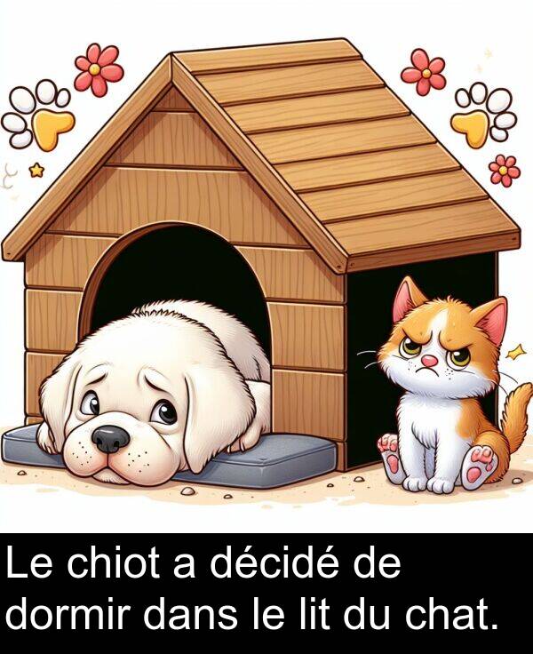 décidé: Le chiot a décidé de dormir dans le lit du chat.