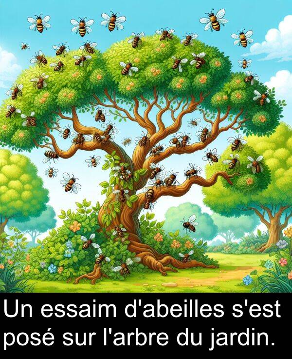 jardin: Un essaim d'abeilles s'est posé sur l'arbre du jardin.