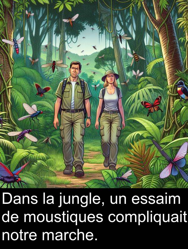 jungle: Dans la jungle, un essaim de moustiques compliquait notre marche.