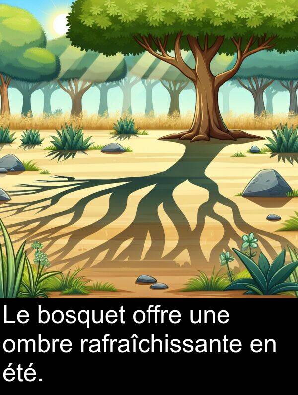 ombre: Le bosquet offre une ombre rafraîchissante en été.