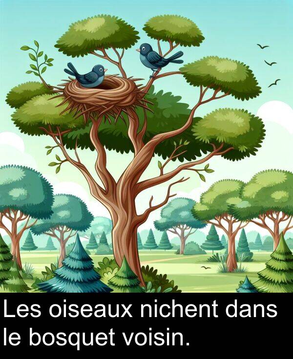 dans: Les oiseaux nichent dans le bosquet voisin.