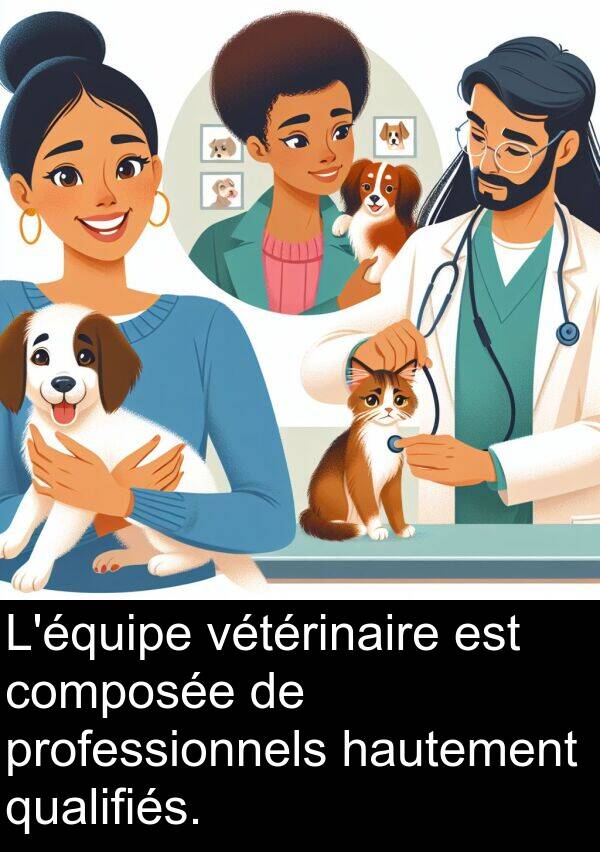 vétérinaire: L'équipe vétérinaire est composée de professionnels hautement qualifiés.