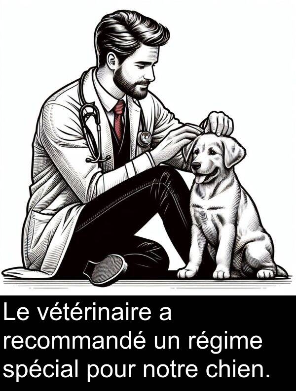 régime: Le vétérinaire a recommandé un régime spécial pour notre chien.