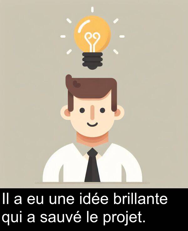 brillante: Il a eu une idée brillante qui a sauvé le projet.