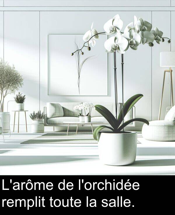 salle: L'arôme de l'orchidée remplit toute la salle.