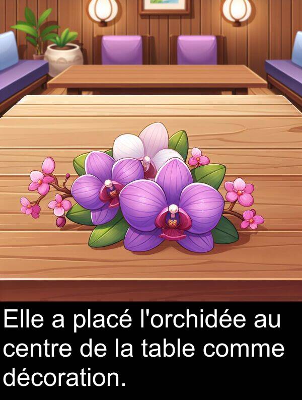 décoration: Elle a placé l'orchidée au centre de la table comme décoration.