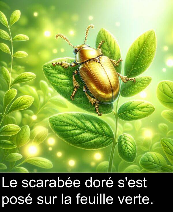 sur: Le scarabée doré s'est posé sur la feuille verte.
