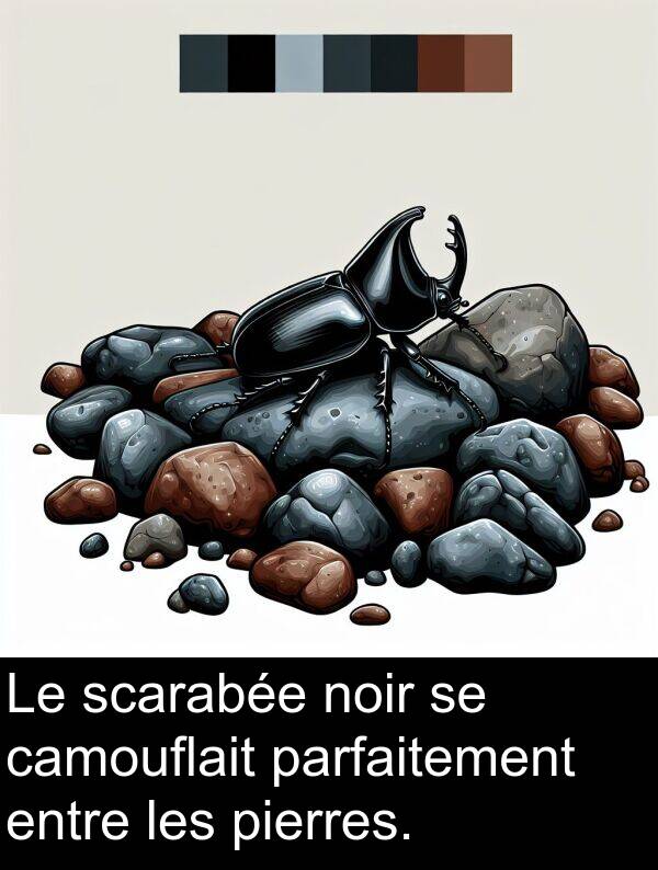entre: Le scarabée noir se camouflait parfaitement entre les pierres.