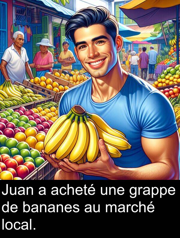 bananes: Juan a acheté une grappe de bananes au marché local.