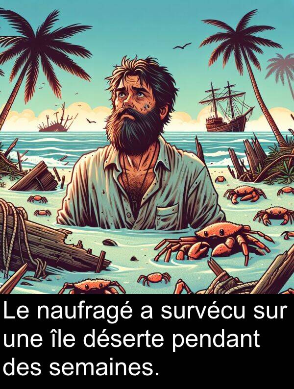 île: Le naufragé a survécu sur une île déserte pendant des semaines.