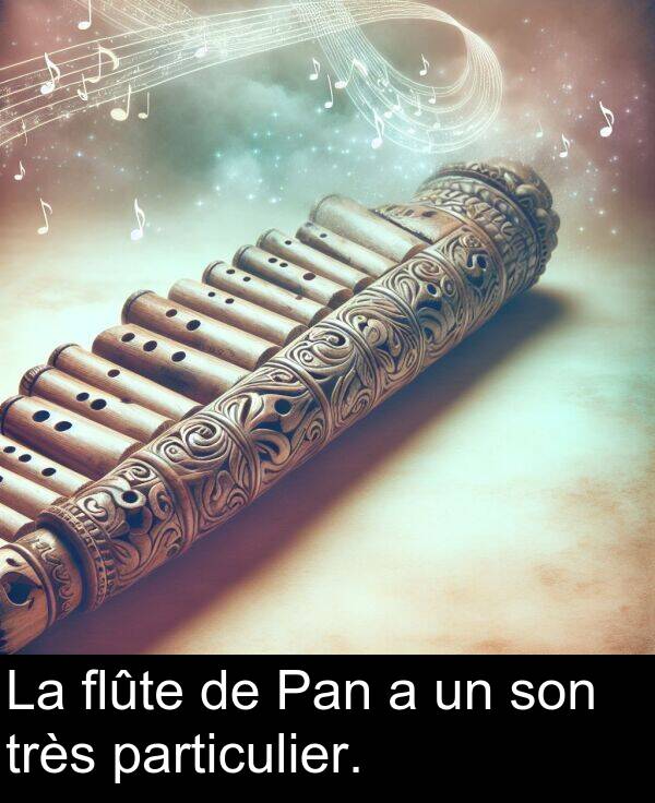 flûte: La flûte de Pan a un son très particulier.