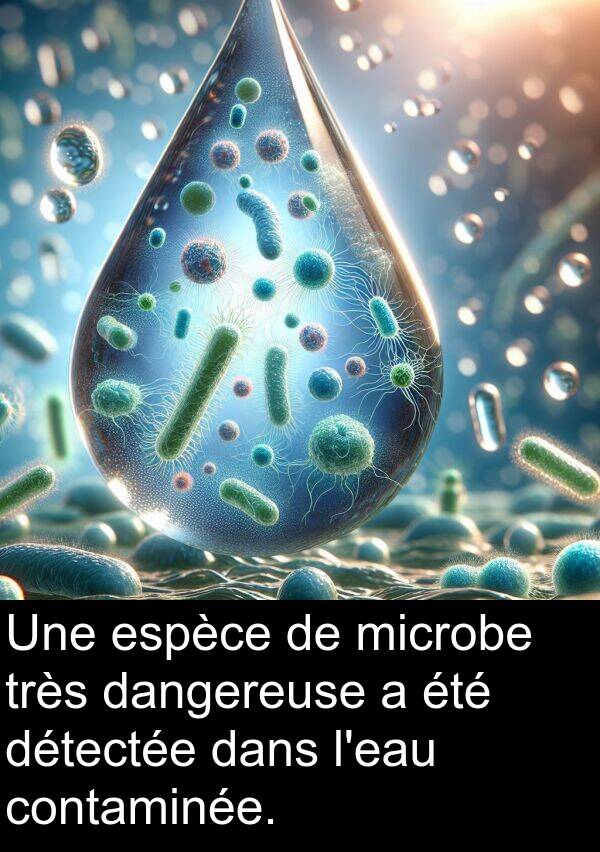 microbe: Une espèce de microbe très dangereuse a été détectée dans l'eau contaminée.