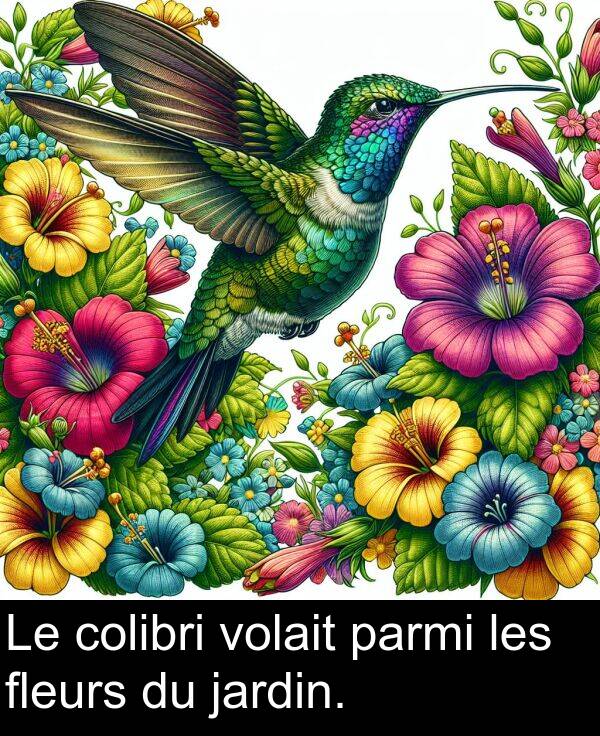 les: Le colibri volait parmi les fleurs du jardin.
