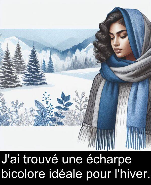 trouvé: J'ai trouvé une écharpe bicolore idéale pour l'hiver.