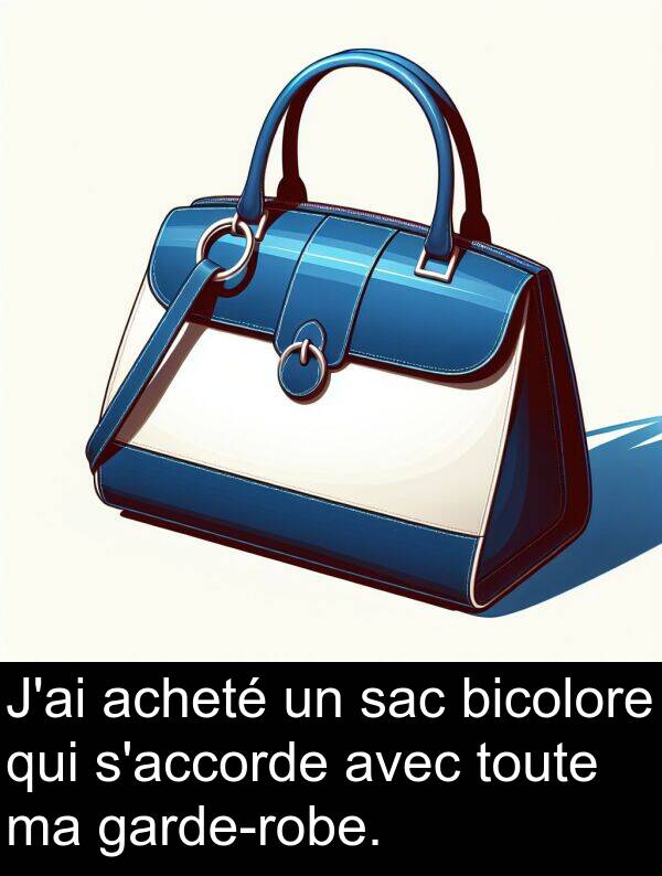 sac: J'ai acheté un sac bicolore qui s'accorde avec toute ma garde-robe.
