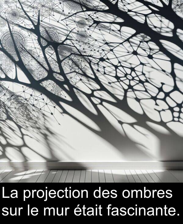 ombres: La projection des ombres sur le mur était fascinante.
