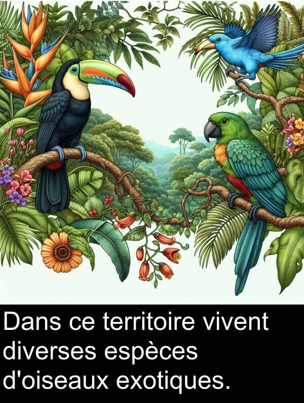 exotiques: Dans ce territoire vivent diverses espèces d'oiseaux exotiques.