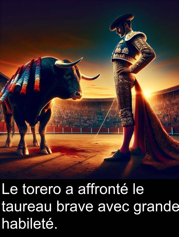 habileté: Le torero a affronté le taureau brave avec grande habileté.