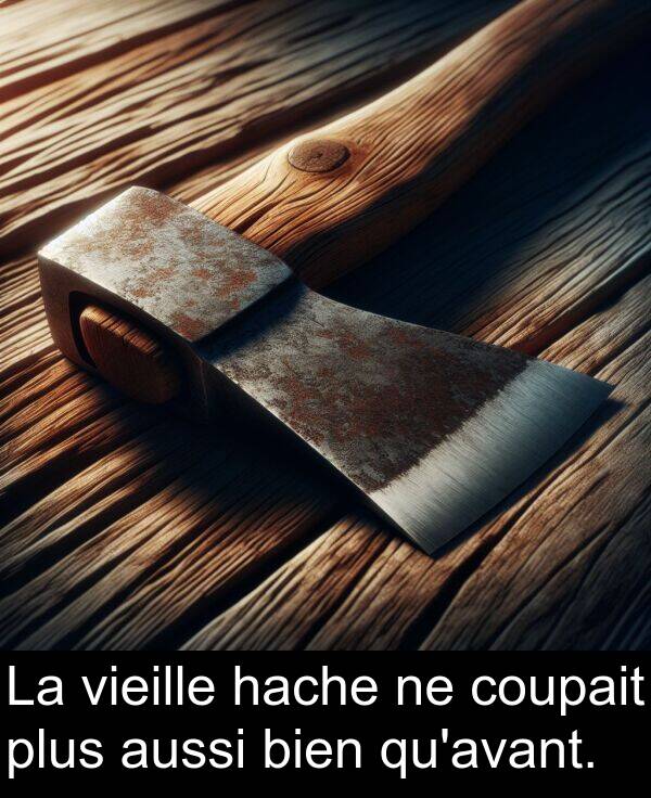 hache: La vieille hache ne coupait plus aussi bien qu'avant.