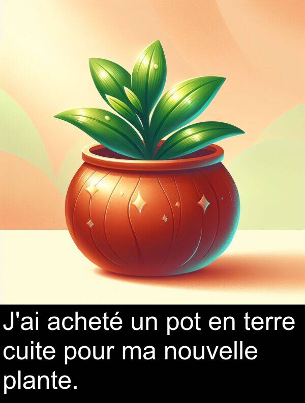 cuite: J'ai acheté un pot en terre cuite pour ma nouvelle plante.
