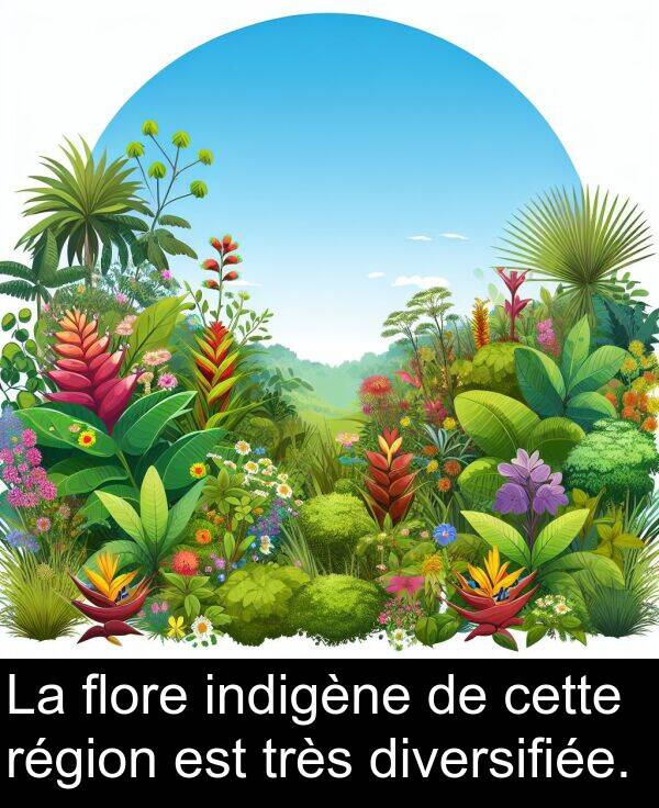 flore: La flore indigène de cette région est très diversifiée.