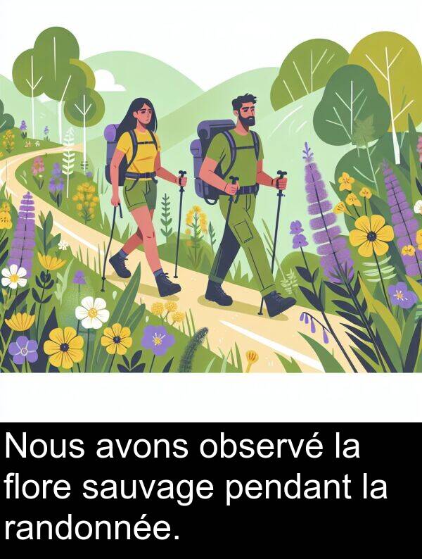 flore: Nous avons observé la flore sauvage pendant la randonnée.