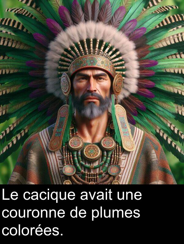 avait: Le cacique avait une couronne de plumes colorées.