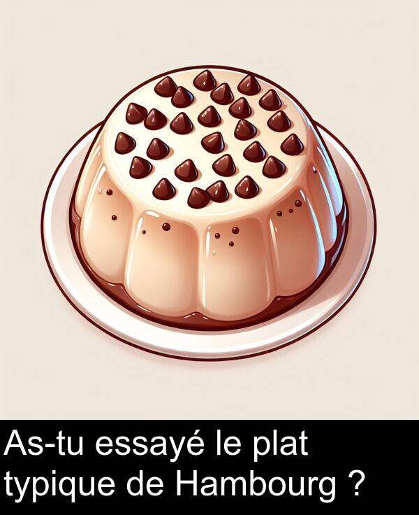 essayé: As-tu essayé le plat typique de Hambourg ?