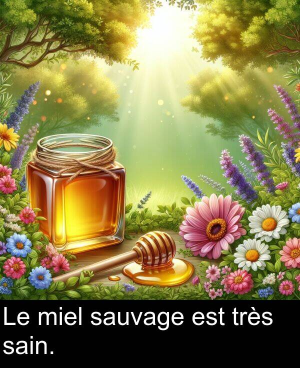 sain: Le miel sauvage est très sain.
