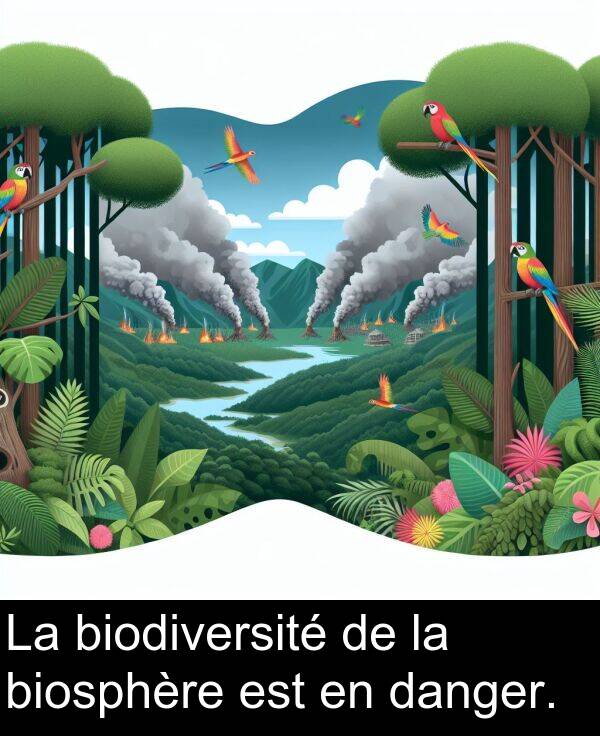 danger: La biodiversité de la biosphère est en danger.