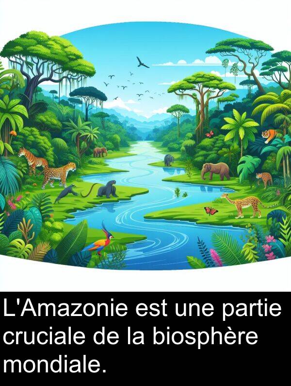 cruciale: L'Amazonie est une partie cruciale de la biosphère mondiale.