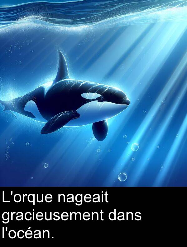 dans: L'orque nageait gracieusement dans l'océan.